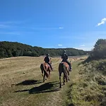 Frieda Mit 2 Schlafzimmern 아파트 *