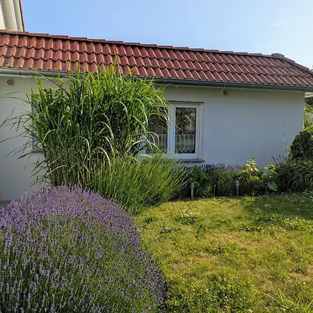 Frieda Mit 2 Schlafzimmern Apartment