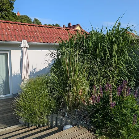 公寓 Frieda Mit 2 Schlafzimmern 萨嘎德